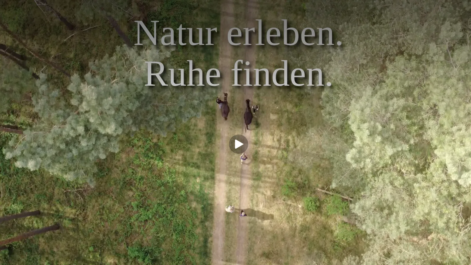 Eselwanderung durch den Wald – Natur erleben, Ruhe finden